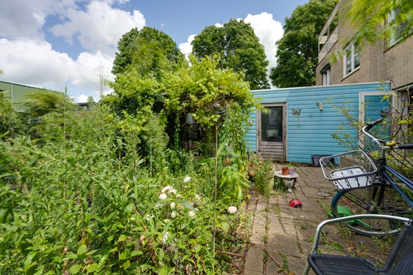 Medium property photo - Dwergvinvisstraat 79, 1035 HN Amsterdam